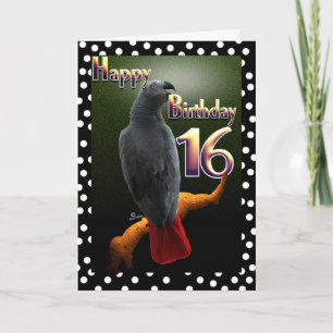Parrot African Grey bird polka dot 16 Birthday Card