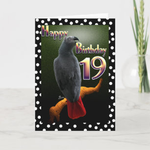 Parrot African Grey bird polka dot 19 Birthday Card