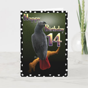 Parrot African Grey /grey Happy 14 Birthday Avian Card