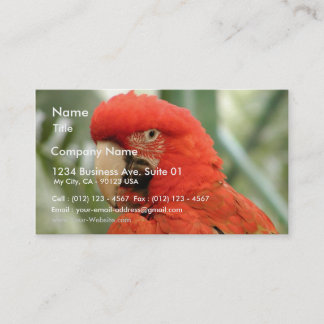 Parrot Animal Business Card