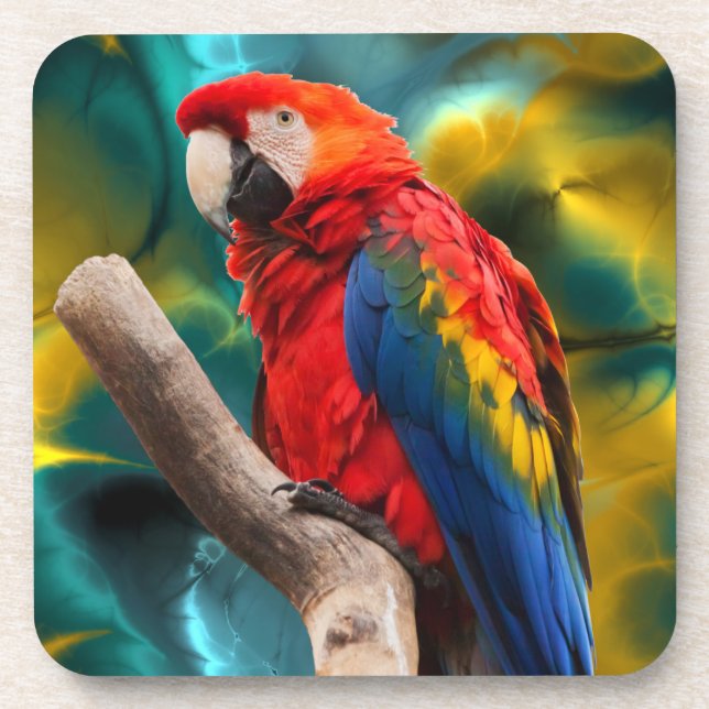 Parrot Art 1 Coaster (Front)