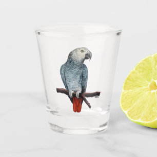 Parrot Art Shot Glass African Grey Gifts Customise