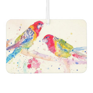 Parrot art Watercolour Painting Aqua Colourful  Car Air Freshener