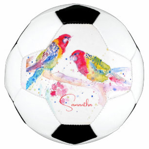 Parrot art Watercolour Painting Red Blue Colourful Football