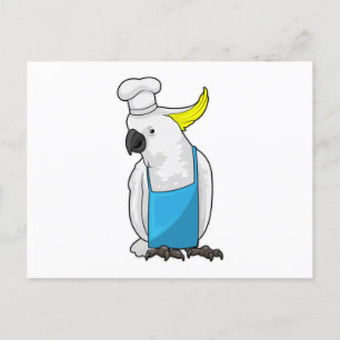 Parrot as Chef with Cooking hat Postcard