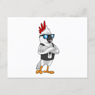 Parrot as Musician with Sunglasses Postcard