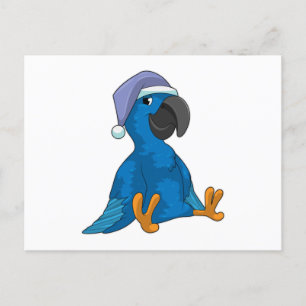 Parrot at Sleeping with Nightcap Postcard