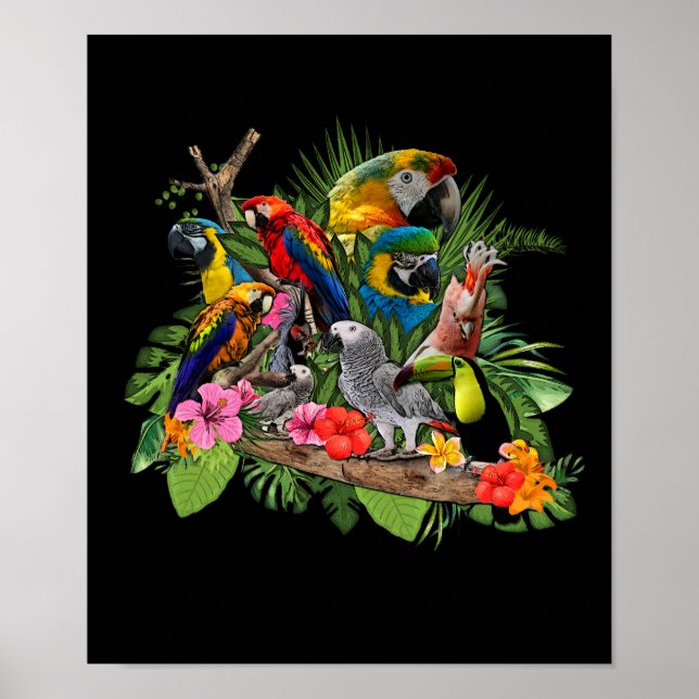 Parrot Bird African Gray Parrot Cockatiel Poster (Front)