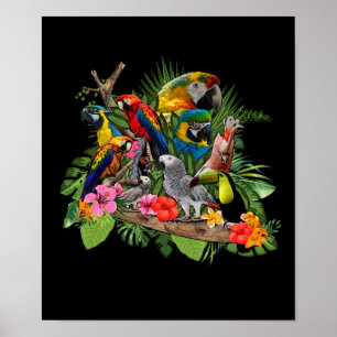 Parrot Bird African Grey Parrot Cockatiel Poster