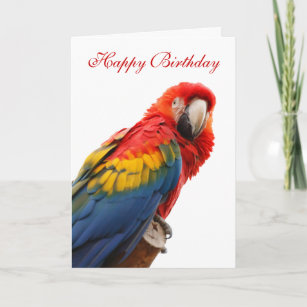 Novelty Congo African Grey Parrot Personalised Name Canvas Birthday Card 