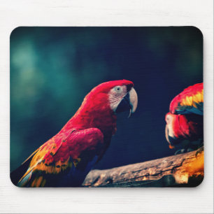 parrot, bird, macaw mouse mat