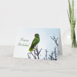 Parrot Birthday Card