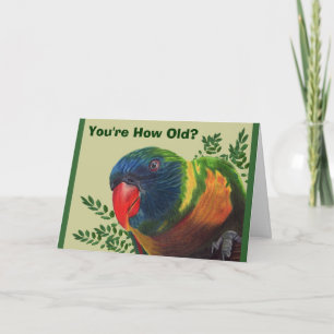 Parrot Birthday Card