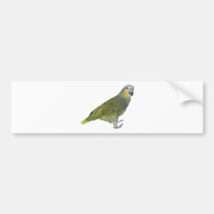 Parrot Bumper Sticker
