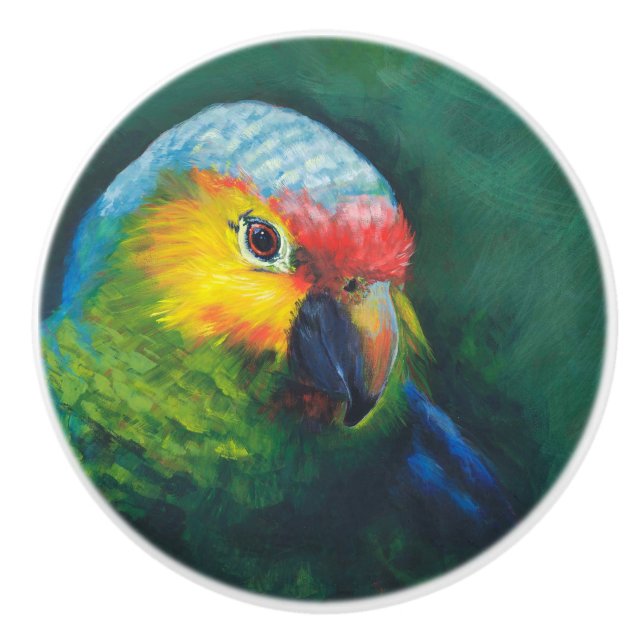 Parrot cabinet/furniture knobs (Front)