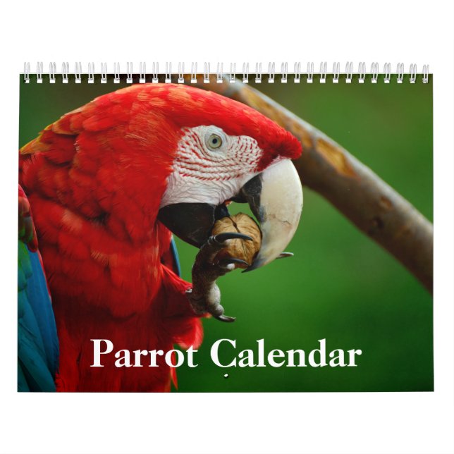 Parrot Calendar (Cover)