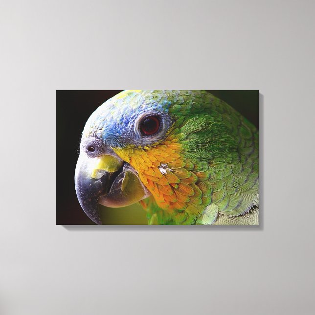 Parrot Canvas Print (Front)