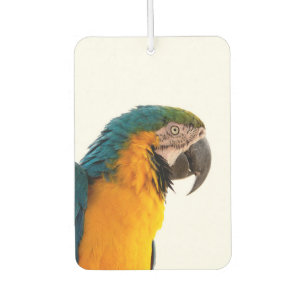 Parrot car air freshener