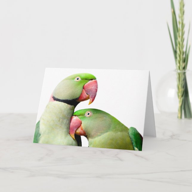 parrot card (Front)