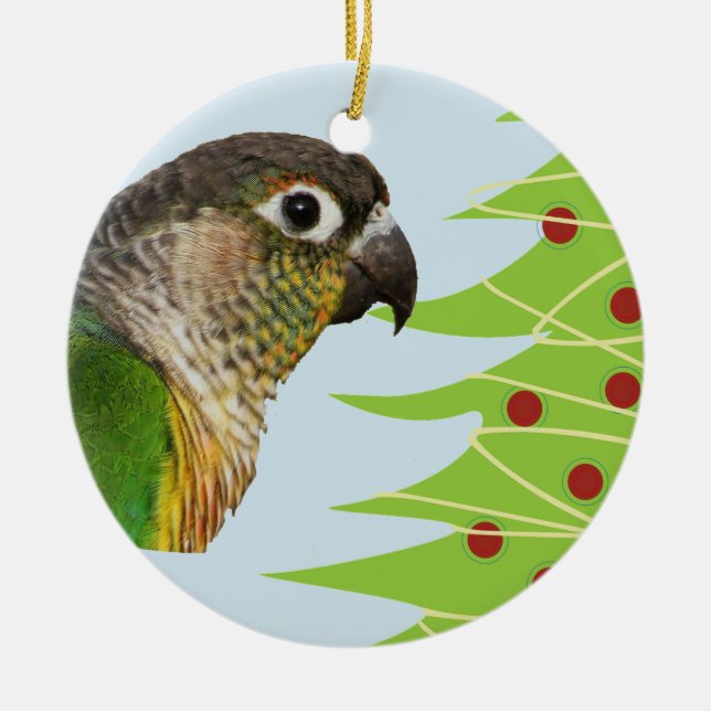 Parrot Ceramic Ornament for the Holidays (Front)