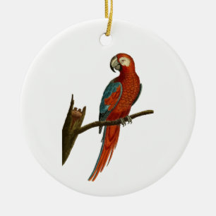 Parrot Ceramic Tree Decoration