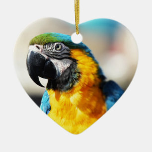 parrot ceramic tree decoration