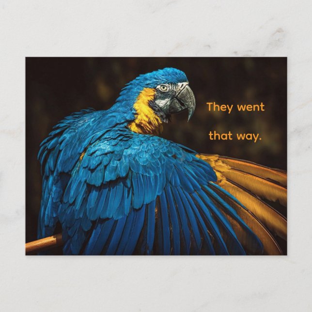 PARROT - CHANGE OF ADDRESS POSTCARD (Front)