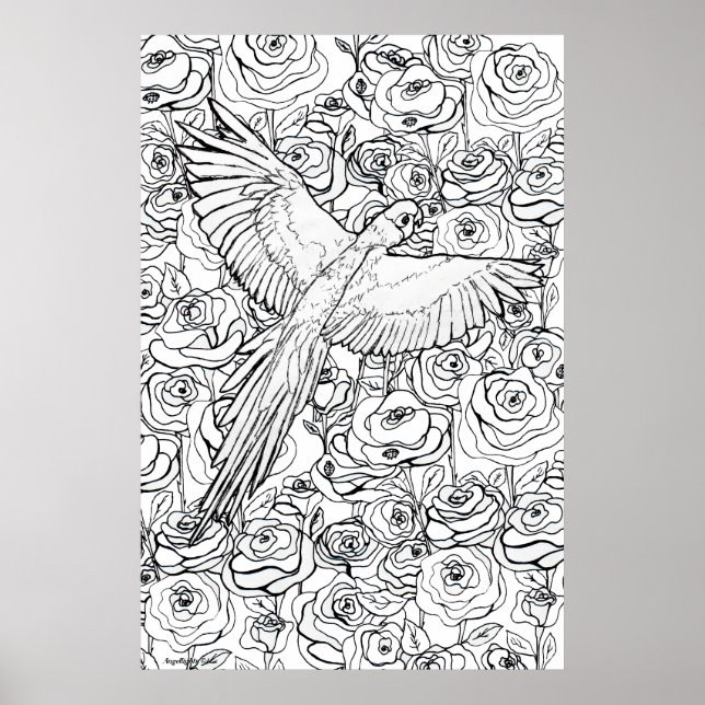 Parrot Clarity Poster (Front)