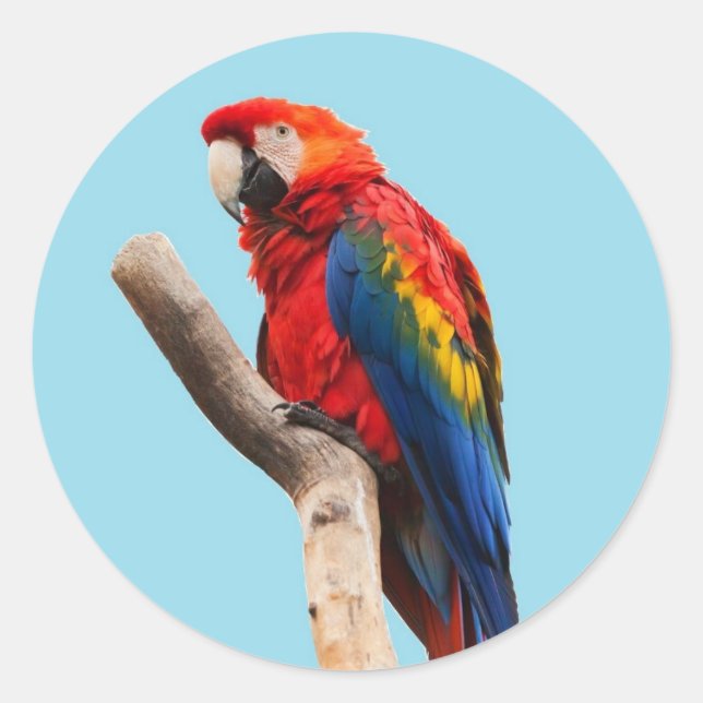 Parrot Classic Round Sticker (Front)