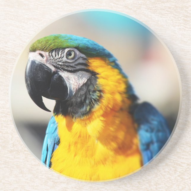 parrot coaster (Front)