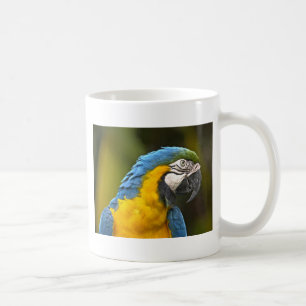 Parrot Coffee Mug