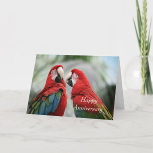Parrot Couple Happy Anniversary Greeting Card