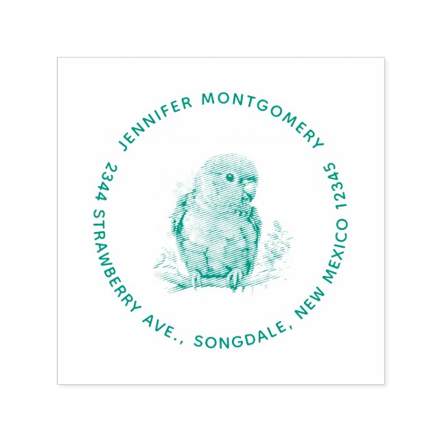 Parrot - Cute Baby Bird Address Self-inking Stamp (Design)