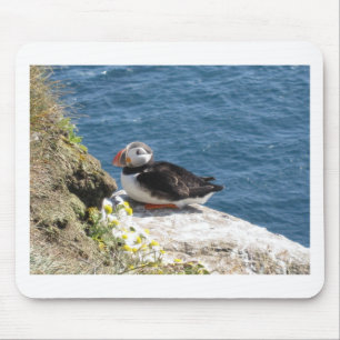 parrot diver mouse mat