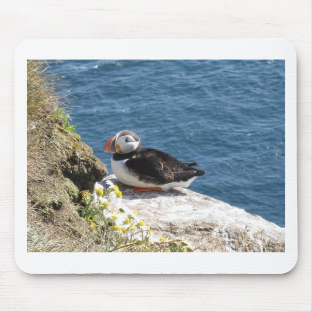 parrot diver mouse mat (Front)