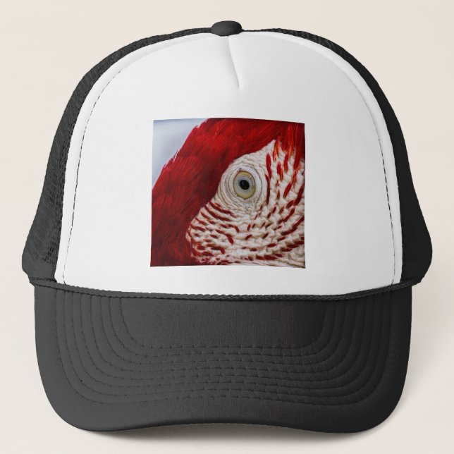 Parrot eye trucker hat (Front)