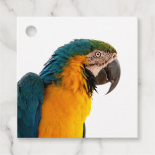 Parrot favour tags