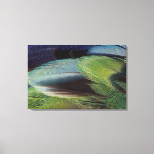 Parrot feather pattern design canvas print