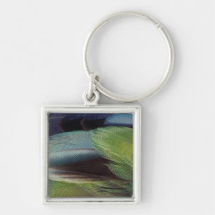 Parrot feather pattern design key ring