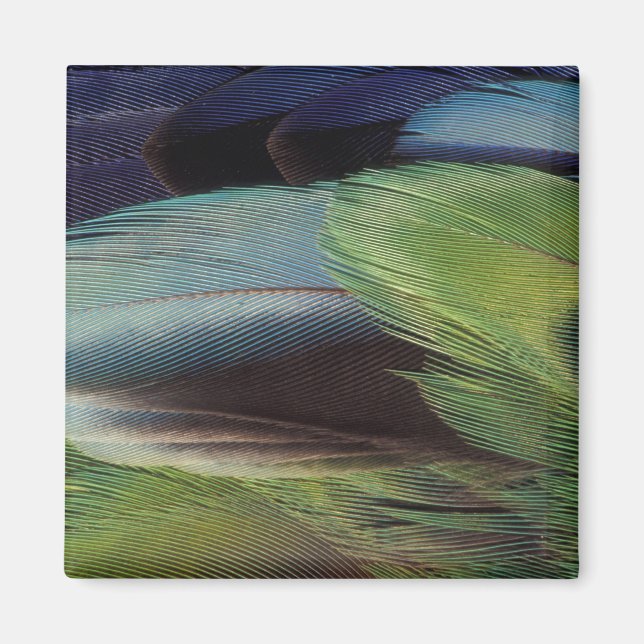 Parrot feather pattern design magnet (Front)