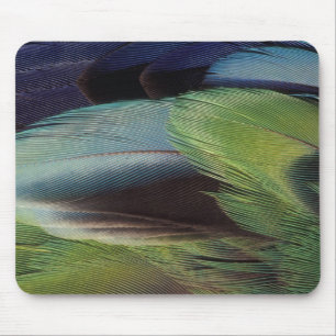 Parrot feather pattern design mouse mat