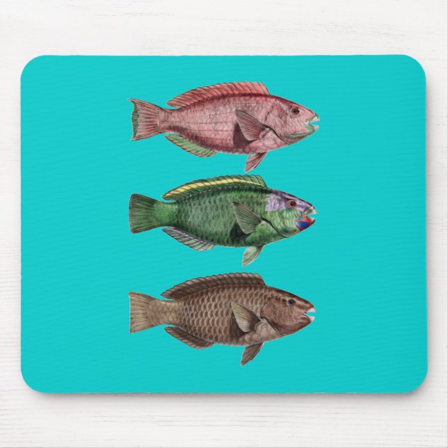 Parrot Fish Mousepad (Front)