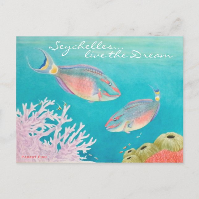 Parrot Fish Postcard (Front)