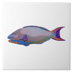 Parrot Fish Tile