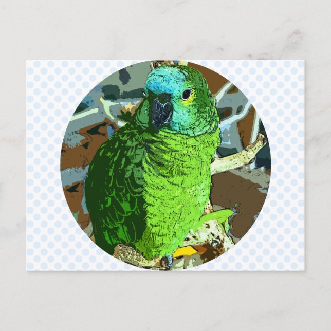 Parrot Green Postcard (Front)