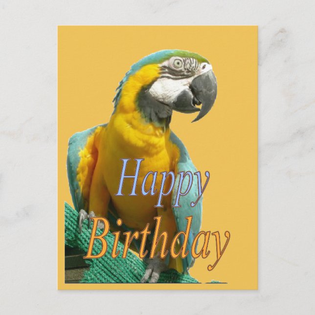 Parrot Happy Birthday Customisable Postcard (Front)