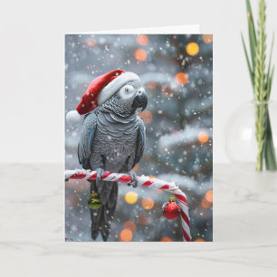 Parrot Holiday Card — Winter Wonder