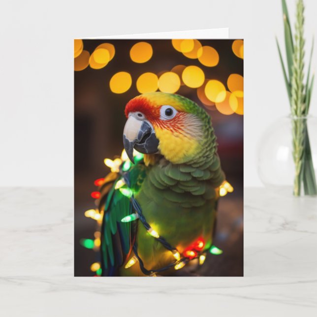 Parrot Holiday Cards  (Front)
