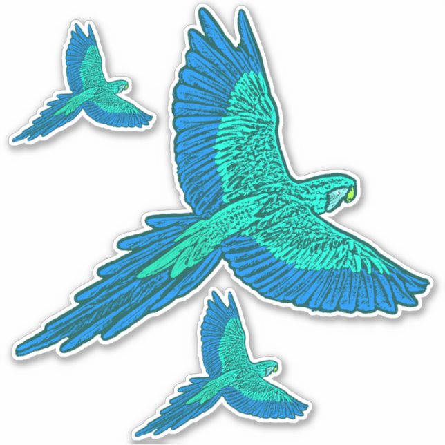 Parrot in Flight, Aqua and Cobalt Blue (Front)