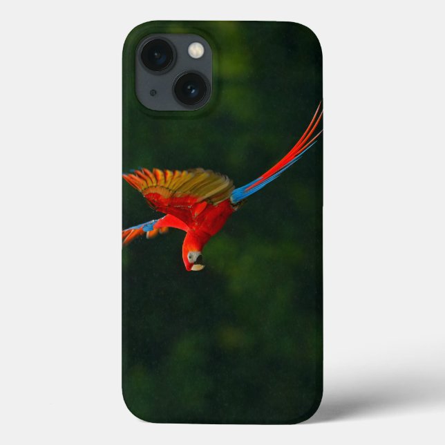 Parrot in Flight Case-Mate iPhone Case (Back)